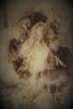 IMG 0039  7 xx